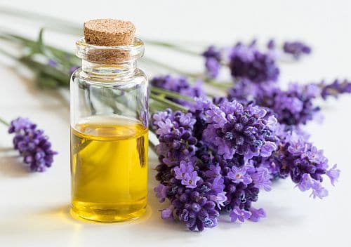 A bottle of Lavender Essential Oil