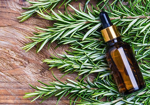 a bottle of rosemary essential oil 