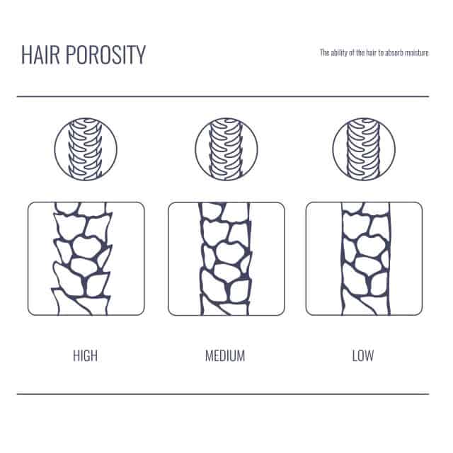 3 levels of hair porosity