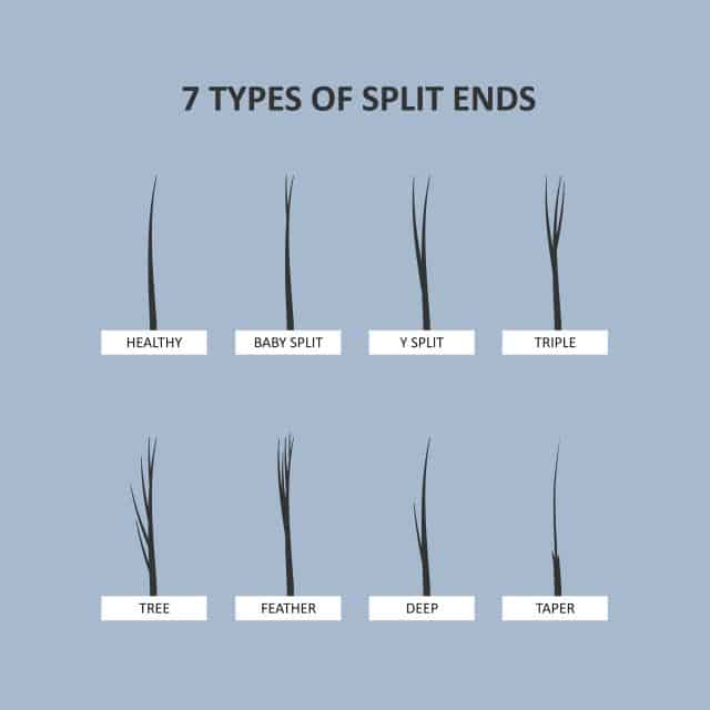 7 types of split ends