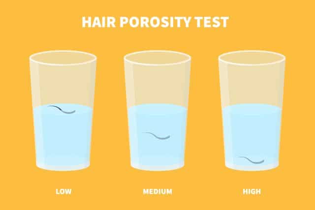 hair porosity test