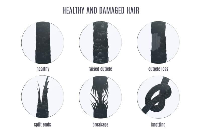 healthy and damaged hair